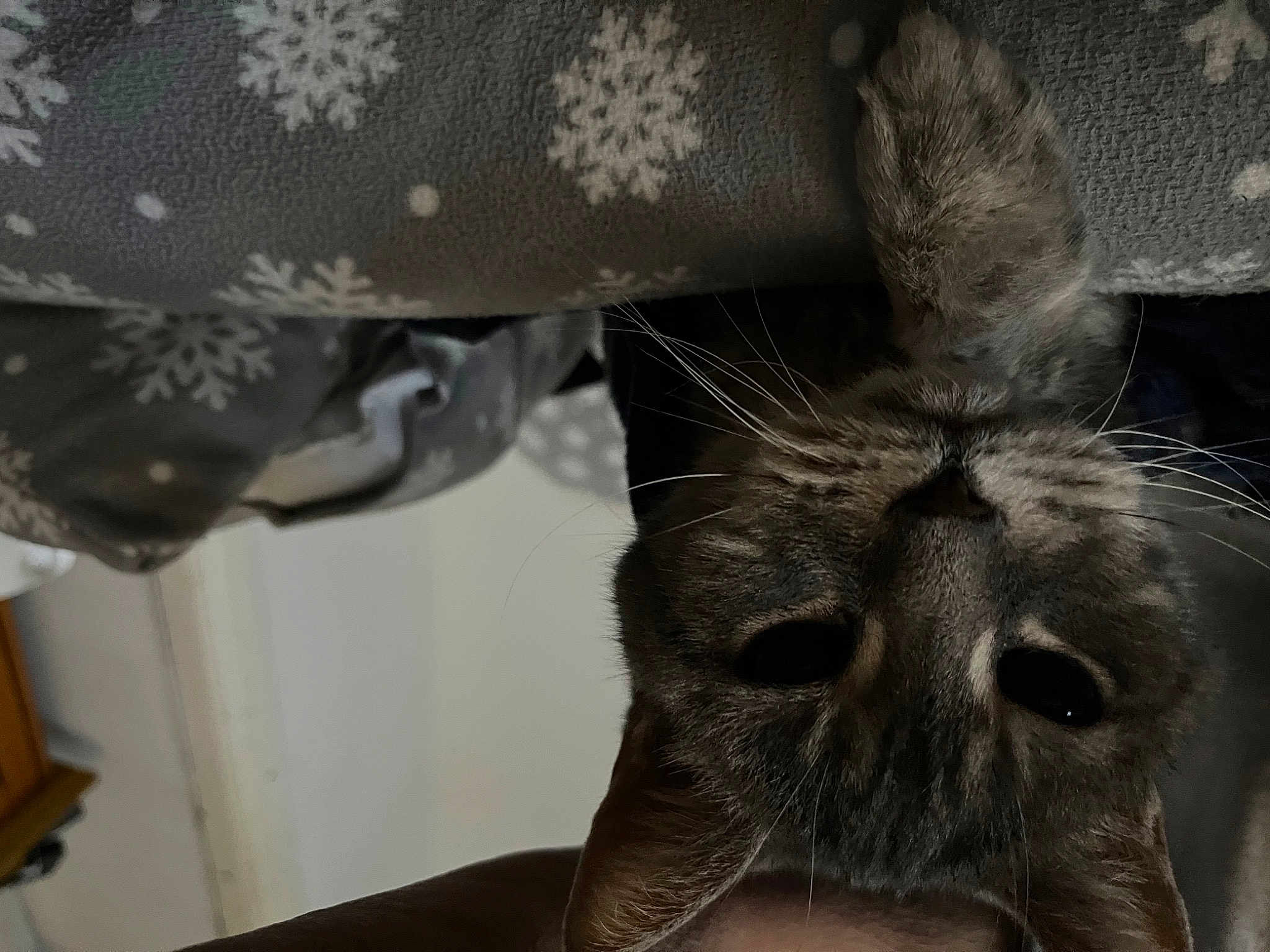 Mama