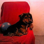 Idem participe au concours pour gagner de l'argent avec cette photo :