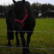 Neck participe au concours pour gagner de l'argent avec cette photo :