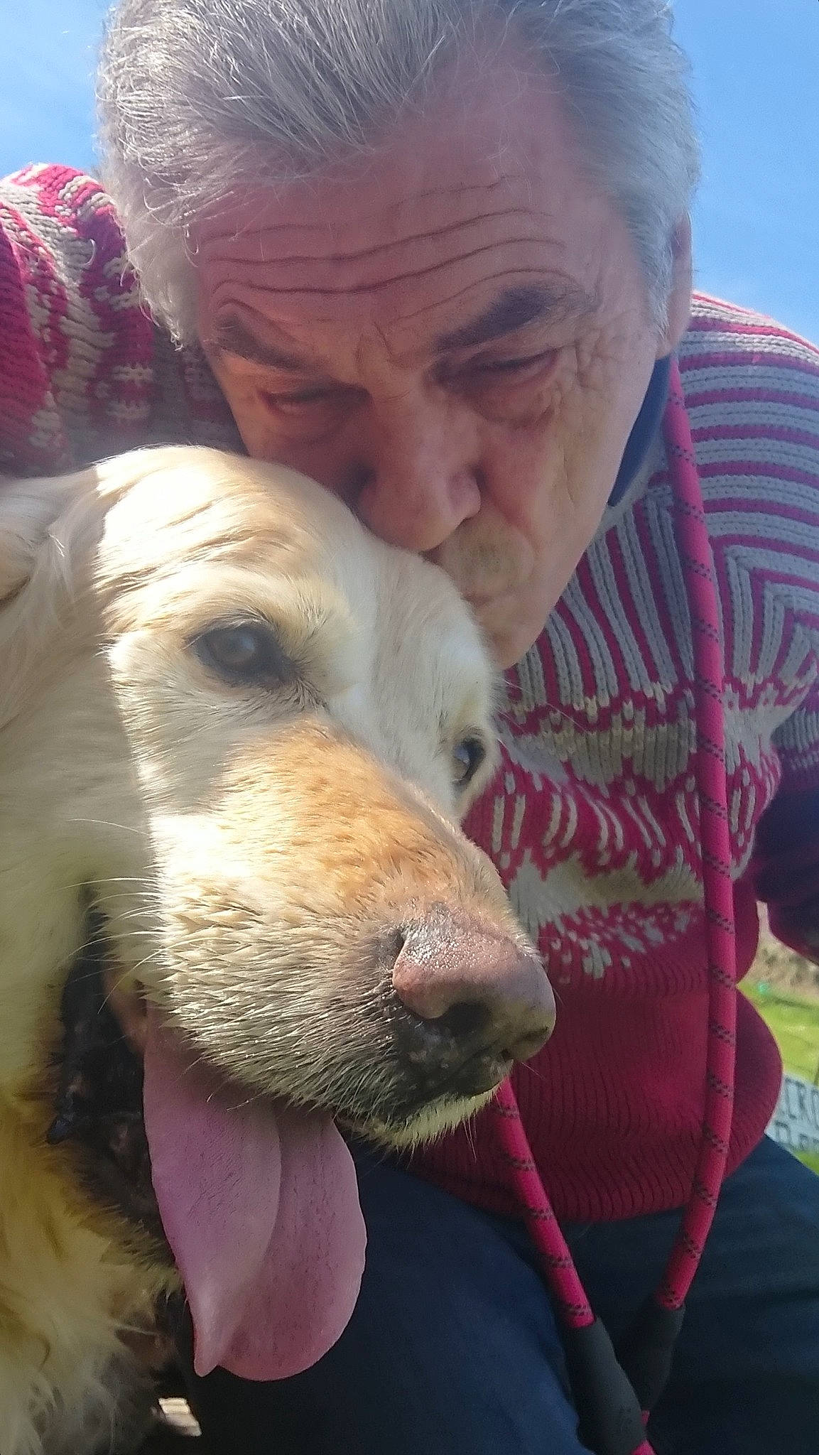 Jango a rejoint le concours — aidez-le/la à gagner de superbes lots ! ancient_dog_breeds, borzoi, canidae, carnivore, companion_dog, dog, dog_breed, ear, fawn, fun, fur, happy, saluki, selfie, sporting_group, whiskers, working_animal, wrinkle