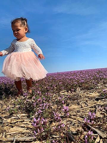 Heiress is registered to the contest to win money with this photo: agriculture, cloud, day_dress, dress, field, flash_photography, flower, flowering_plant, grass, happy, landscape, meadow, people_in_nature, person, petal, plant, prairie, purple, sky, soil