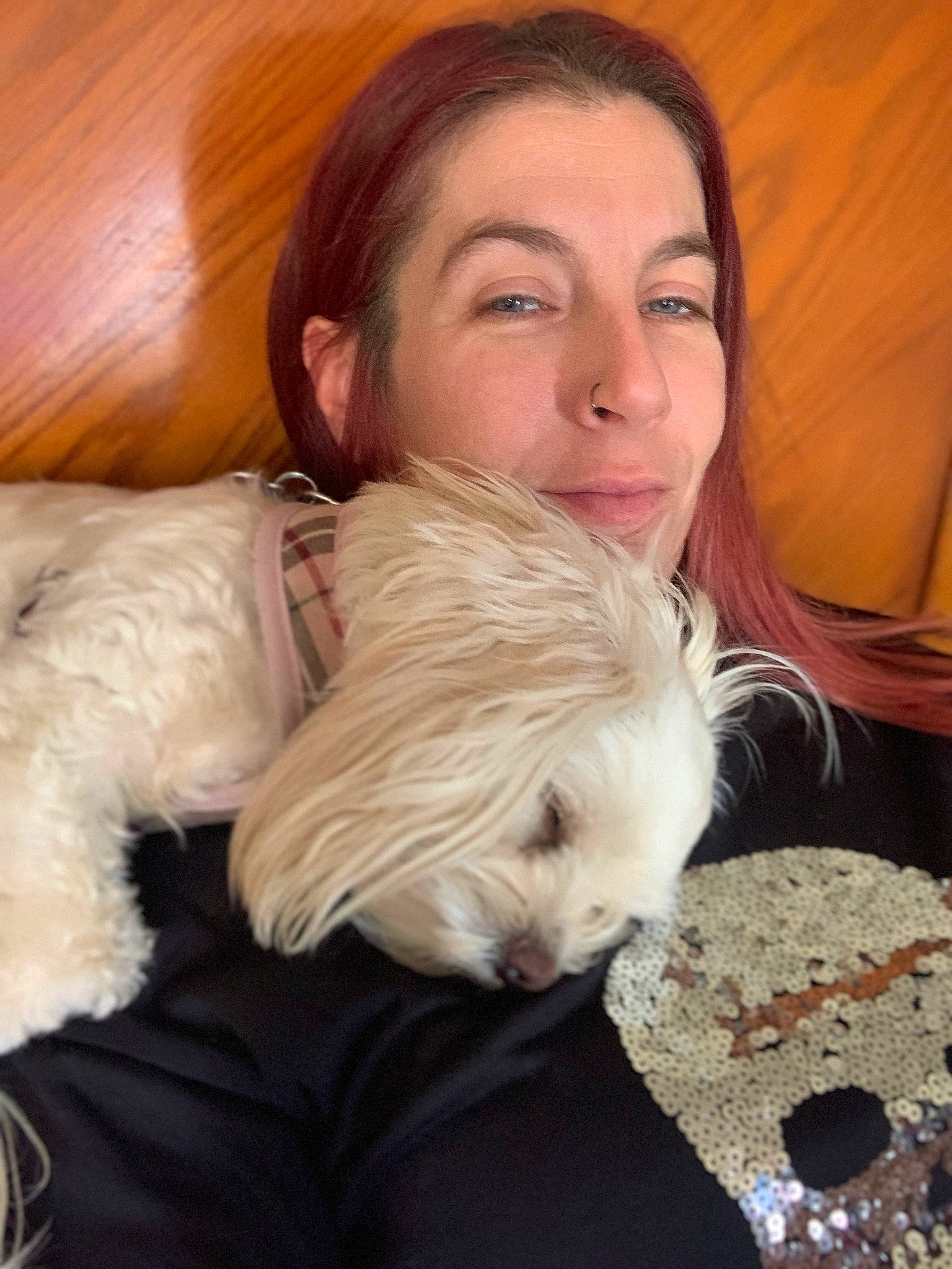 Sassy is registered to the contest to win money with this photo: canidae, carnivore, child, cockapoo, comfort, companion_dog, dog, dog_breed, dog_clothes, fawn, fur, hair, nap, puppy_love, small_terrier, snout, sporting_group, terrier, toy, toy_dog