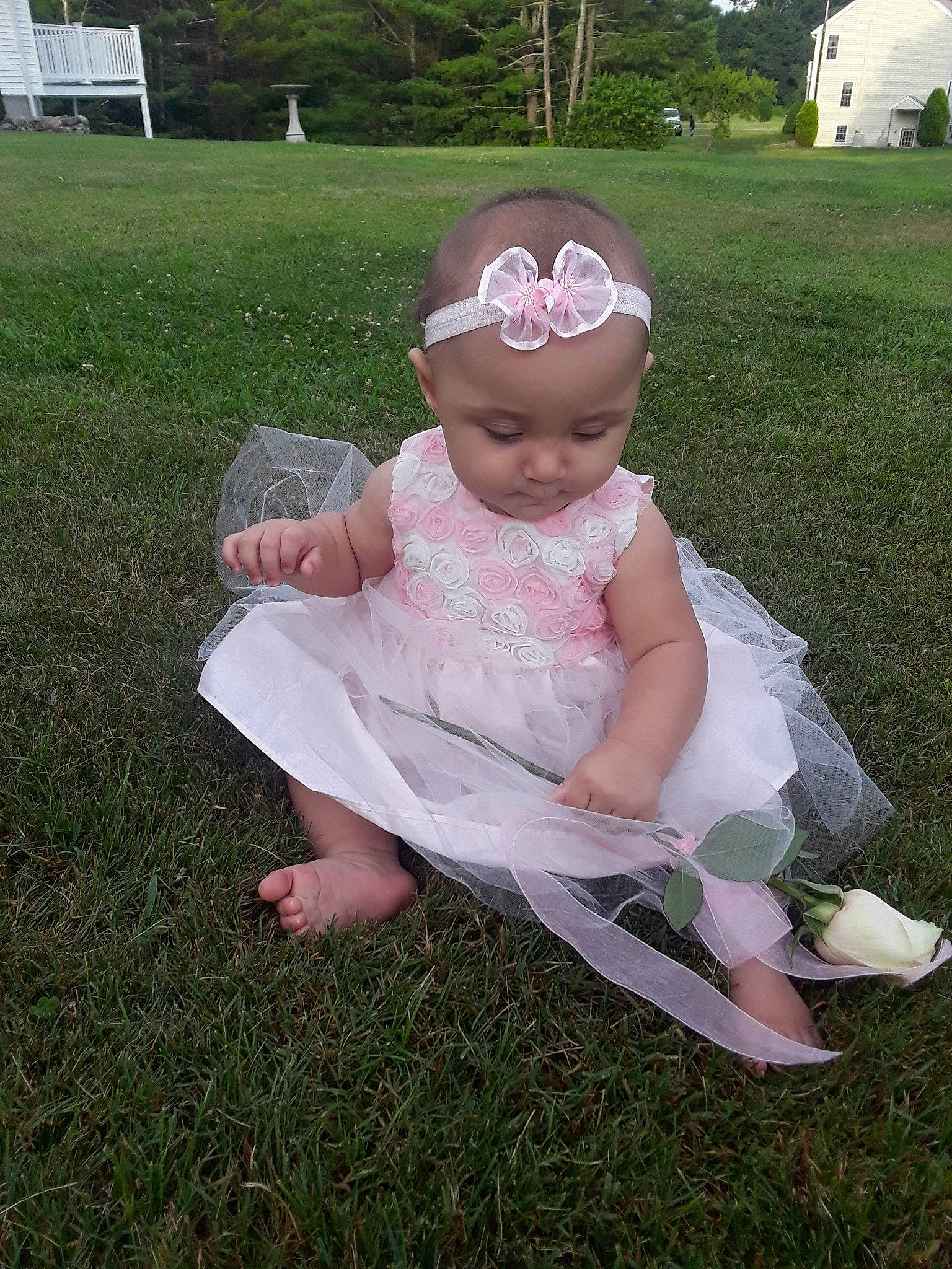 Chloe Anne joined the competition — help win amazing prizes! baby, baby_toddler_clothing, child, dress, grass, hair_accessory, headwear, lawn, person, toddler
