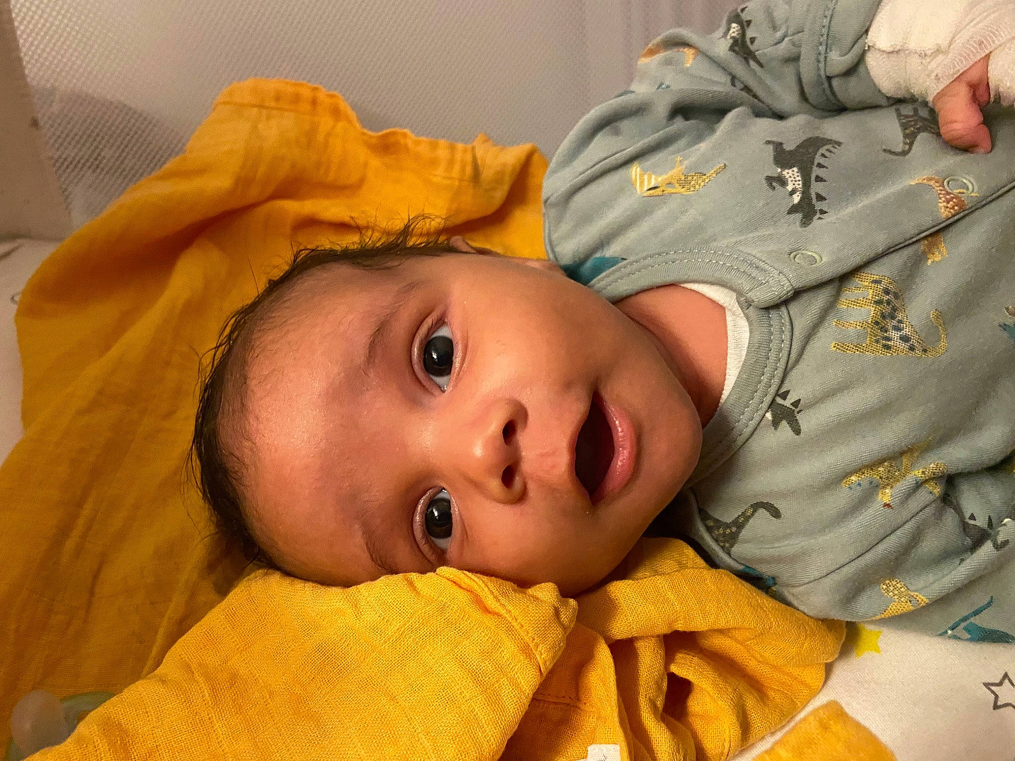 Kalys a rejoint le concours — aidez-le/la à gagner de superbes lots ! baby, baby_toddler_clothing, cheek, child, comfort, eyebrow, eyelash, fur, happy, hat, linens, lip, nose, person, portrait_photography, sleeve, toddler