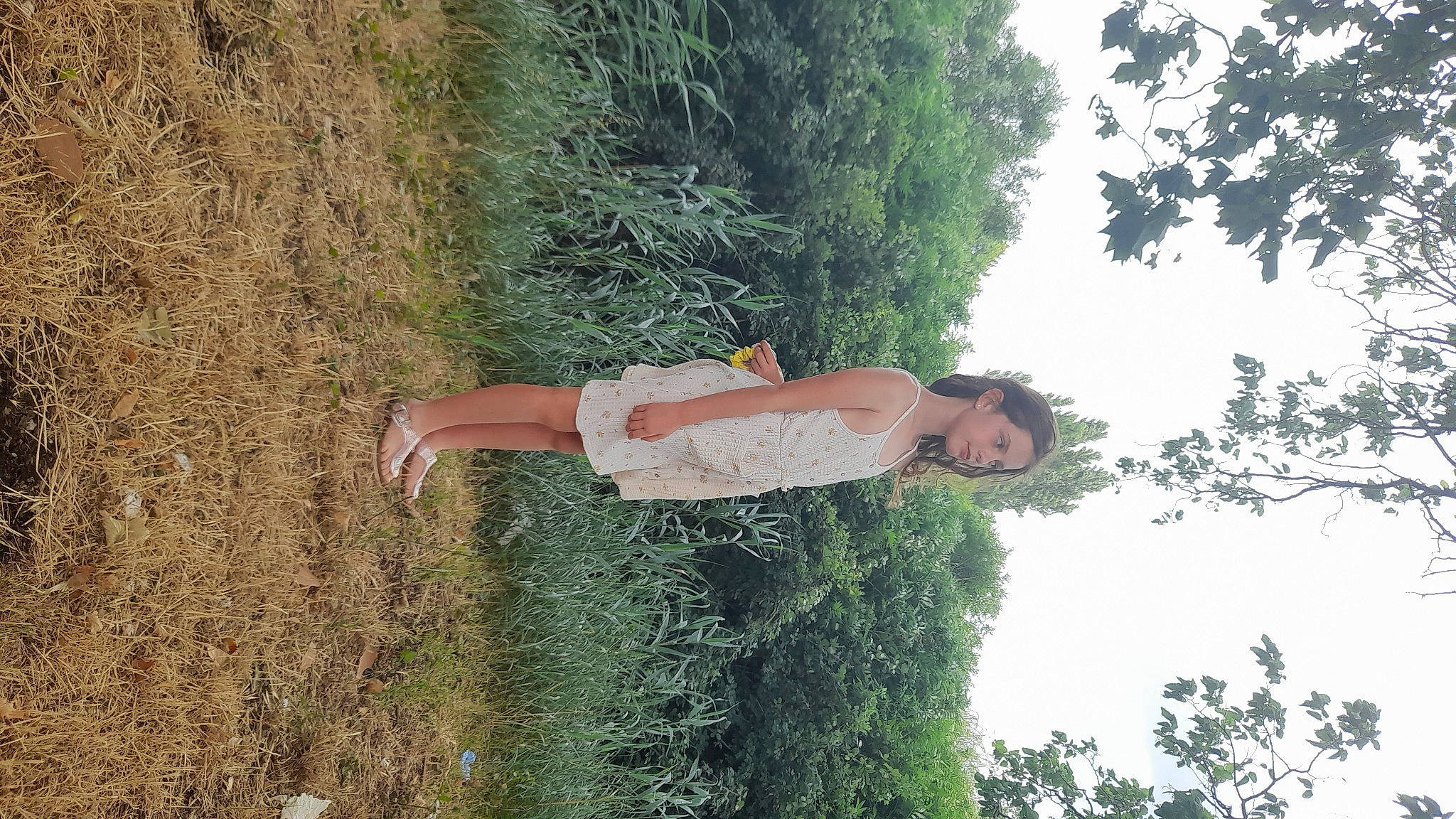 Estelle participe au concours pour gagner de l'argent avec cette photo : biome, elbow, grass, grass_family, happy, landscape, leisure, mammal, people_in_nature, person, plant, shrub, sky, soil, summer, thigh, tree, trunk, vegetation, vertebrate