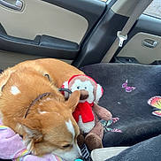 Kaito joined the competition — help win amazing prizes! dog, corgi, stuffed_toy, monkey_toy, car_interior, blanket, seatbelt, window, door_handle, can, bottle, plush, butterfly_pattern, seat_cover, pet, resting, animal, cozy, indoor, car_seat