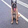 Tayson