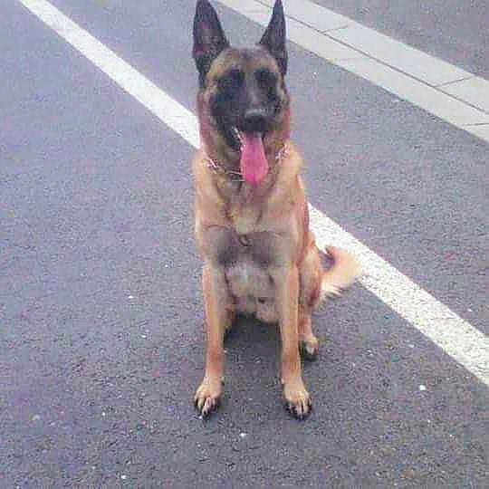 Tayson