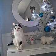 Luna participe au concours pour gagner de l'argent avec cette photo : cat, white_cat, black_and_white_cat, christmas_tree, white_christmas_tree, blue_ornaments, lights, mirror, table, decorations, polar_bear_figurine, plush_toy, indoor, holiday_decor, festive, wall, reflection, pet, cute, animal