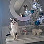 cat, white_cat, black_and_white_cat, christmas_tree, white_christmas_tree, blue_ornaments, lights, mirror, table, decorations, polar_bear_figurine, plush_toy, indoor, holiday_decor, festive, wall, reflection, pet, cute, animal