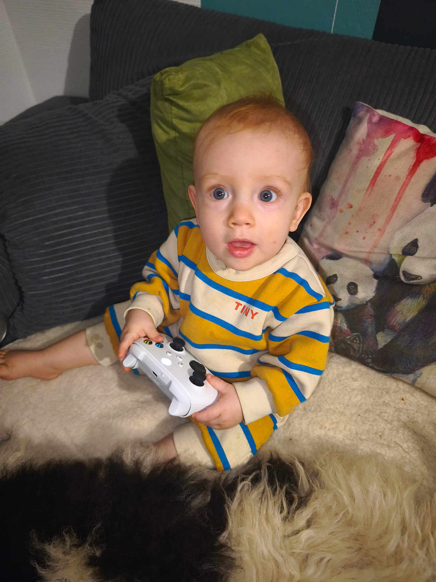 Edouard participe au concours pour gagner de l'argent avec cette photo : toddler, child, controller, gaming, striped_clothing, pillow, panda, blanket, sofa, indoors, curious, wide_eyes, cozy, couch, furniture, plush, young_child, sitting, home, portrait