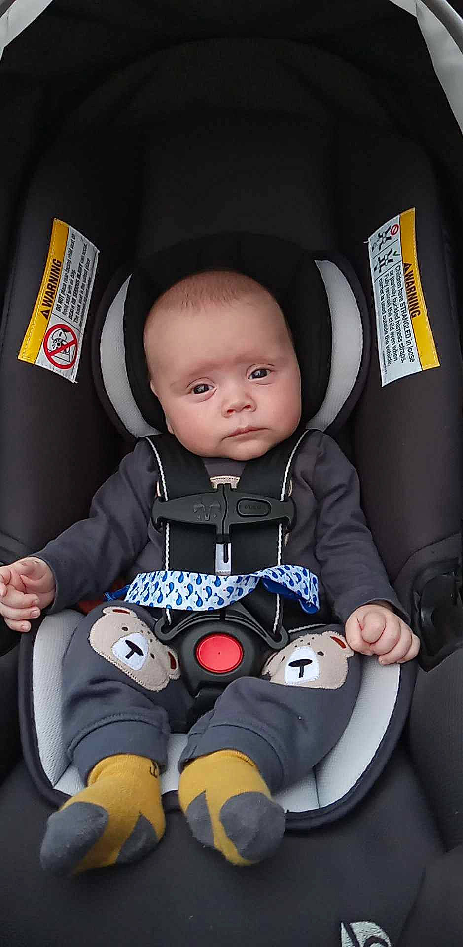 Nolan is registered to the contest to win money with this photo: arm, auto_part, baby, baby_carriage, baby_in_car_seat, baby_products, baby_safety, baby_toddler_clothing, car_seat, carmine, cheek, child, comfort, electric_blue, fun, person, personal_protective_equipment, service, sitting, steering_wheel