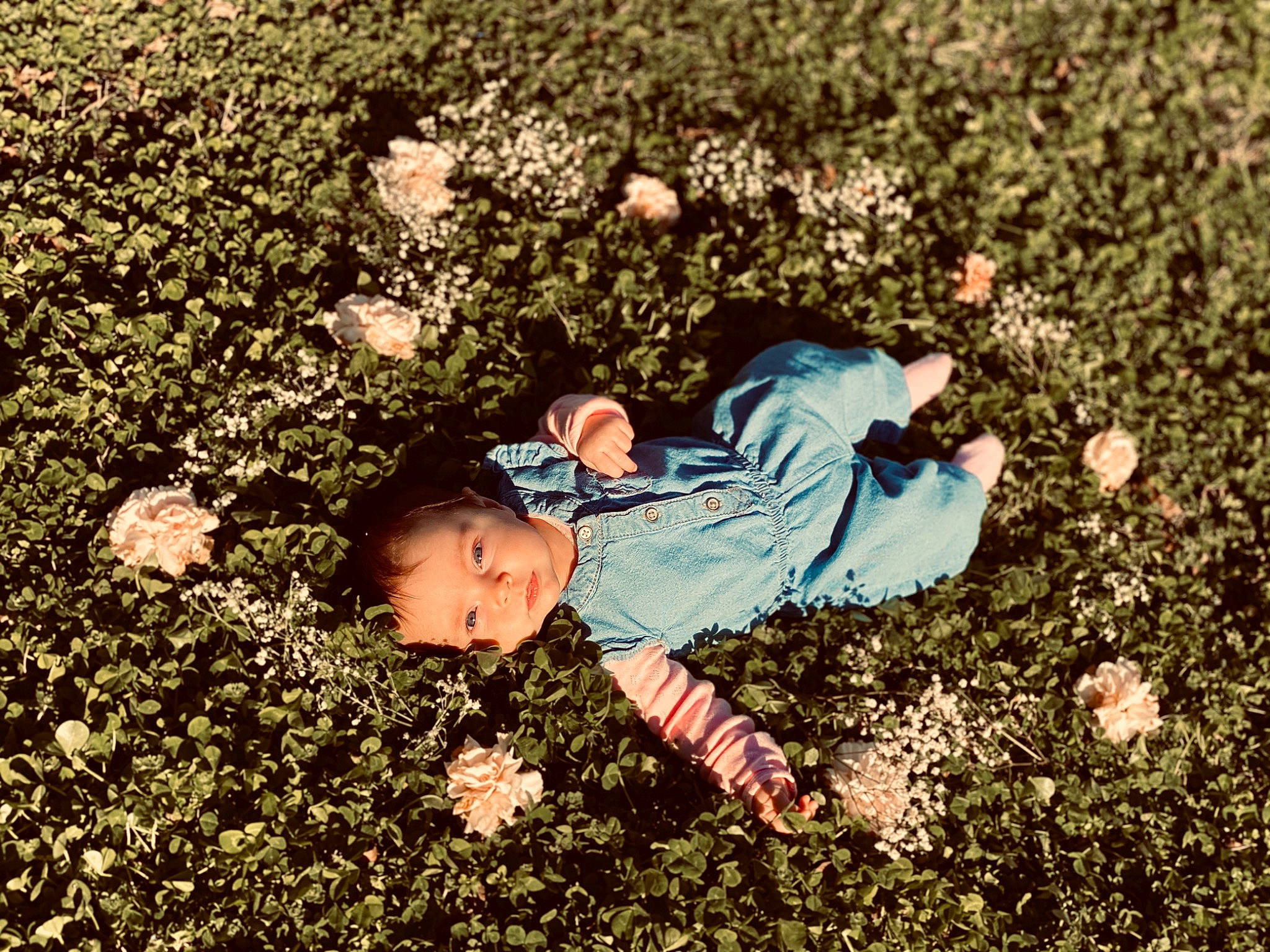 Ohara is registered to the contest to win money with this photo: asphalt, autumn, baby, deciduous, flooring, fun, garden, grass, groundcover, happy, landscape, lawn, leisure, people_in_nature, person, play, recreation, shadow, sitting, soil