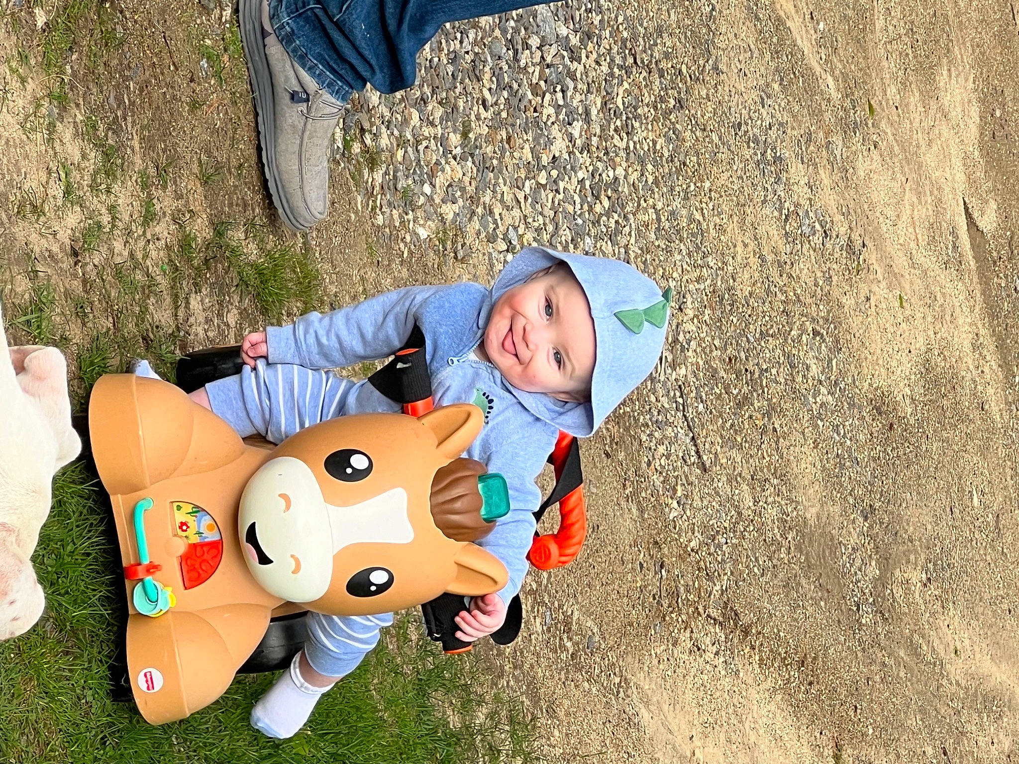 Chase joined the competition — help win amazing prizes! baby, baby_products, baby_toddler_clothing, child, fictional_character, fun, grass, happy, hat, headwear, jeans, joy, landscape, leisure, people_in_nature, person, play, recreation, sitting, soil