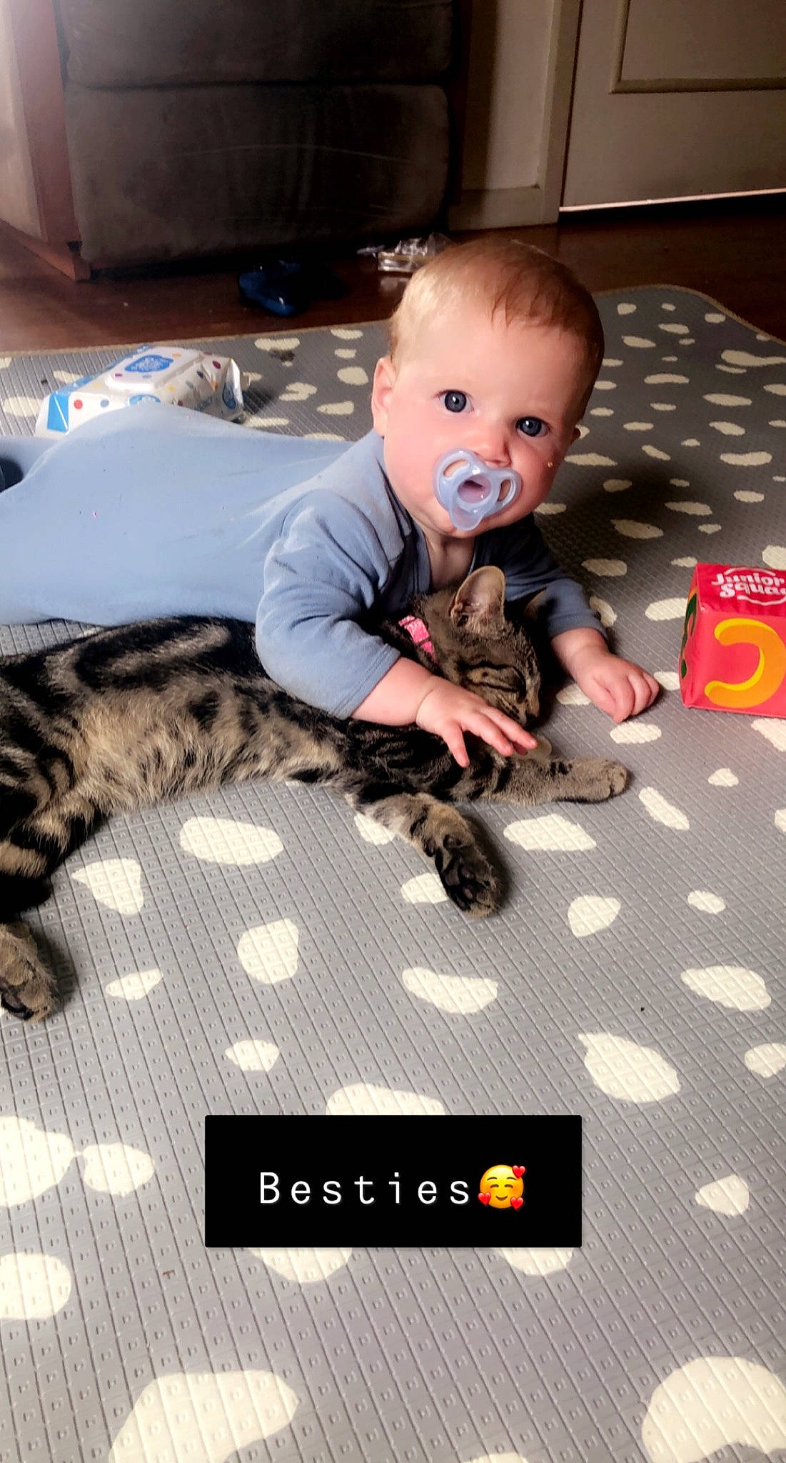 Evelyn joined the competition — help win amazing prizes! baby, baby_toddler_clothing, cat, child, comfort, couch, domestic_short_haired_cat, felidae, flooring, fun, fur, pattern, person, room, sitting, small_to_medium_sized_cats, tail, toddler, toy, whiskers