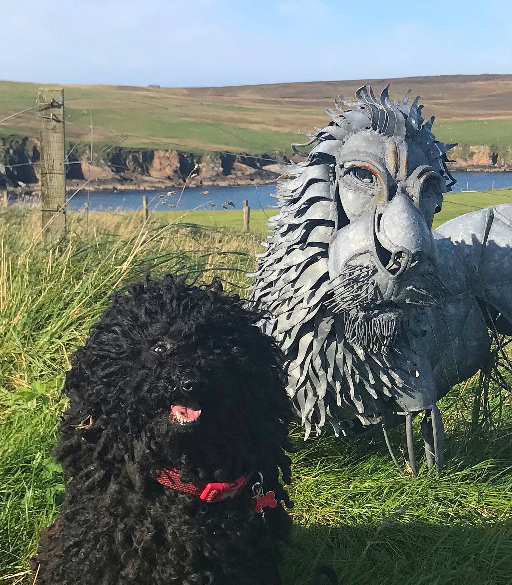 Marley is registered to the contest to win money with this photo: art, canidae, carnivore, companion_dog, dog, dog_breed, fur, giant_dog_breed, grass, grassland, landscape, plant, sculpture, sky, snout, sporting_group, statue, terrestrial_animal, water_dog, working_animal