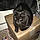 Blackie