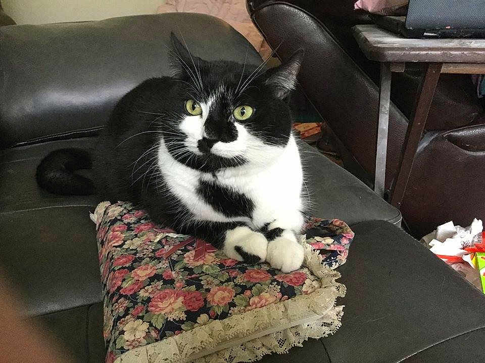 Abby