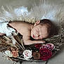 baby, closeup, cozy, cute, delicate, diaper, feathers, flowers, head, infant, natural, nature, nest, newborn, peaceful, portrait, resting, skin, sleeping, soft