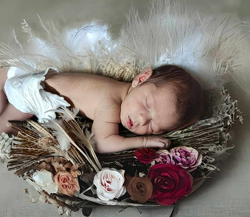 Kélyo participe au concours pour gagner de l'argent avec cette photo : baby, closeup, cozy, cute, delicate, diaper, feathers, flowers, head, infant, natural, nature, nest, newborn, peaceful, portrait, resting, skin, sleeping, soft