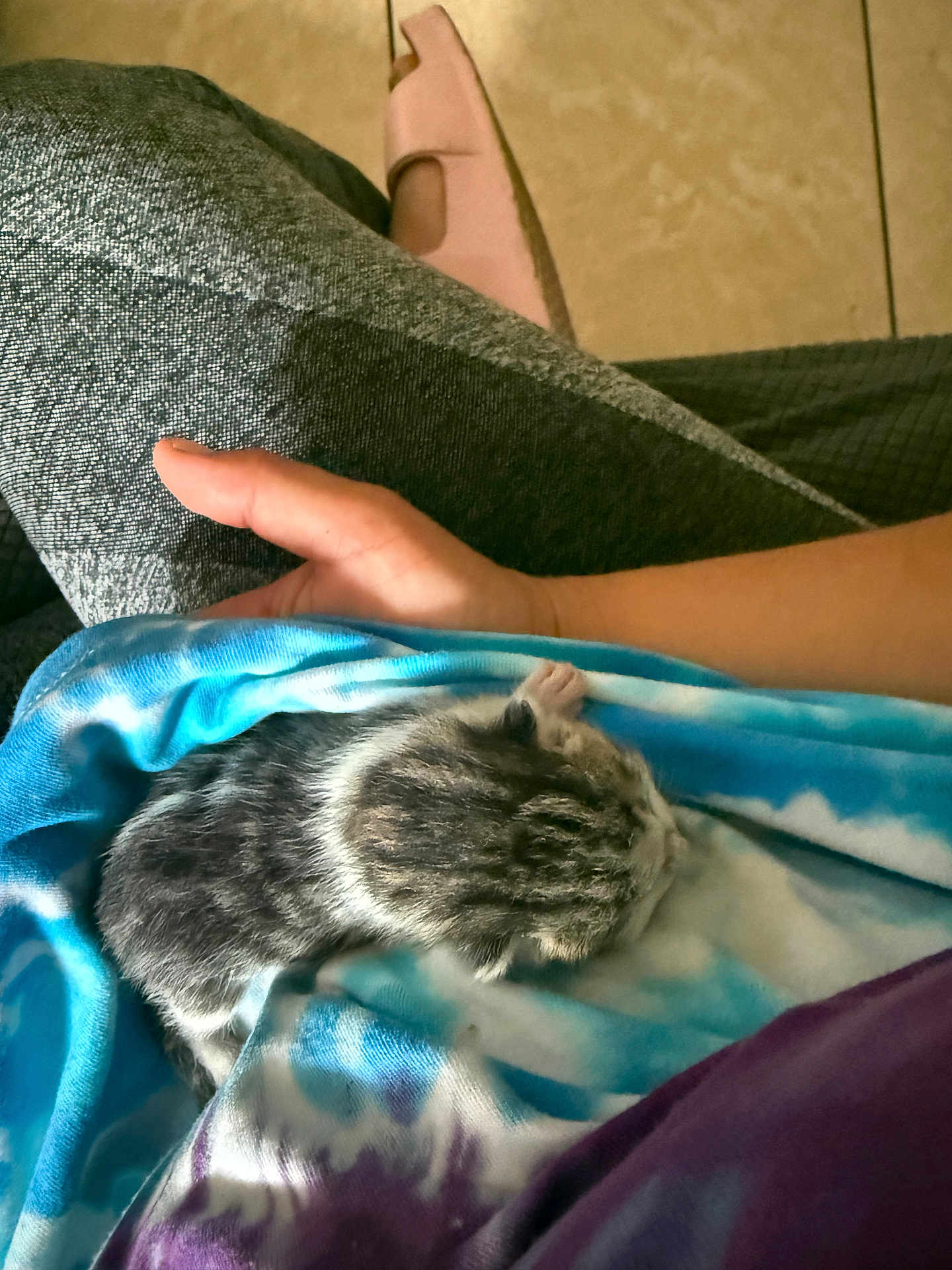 Fiona