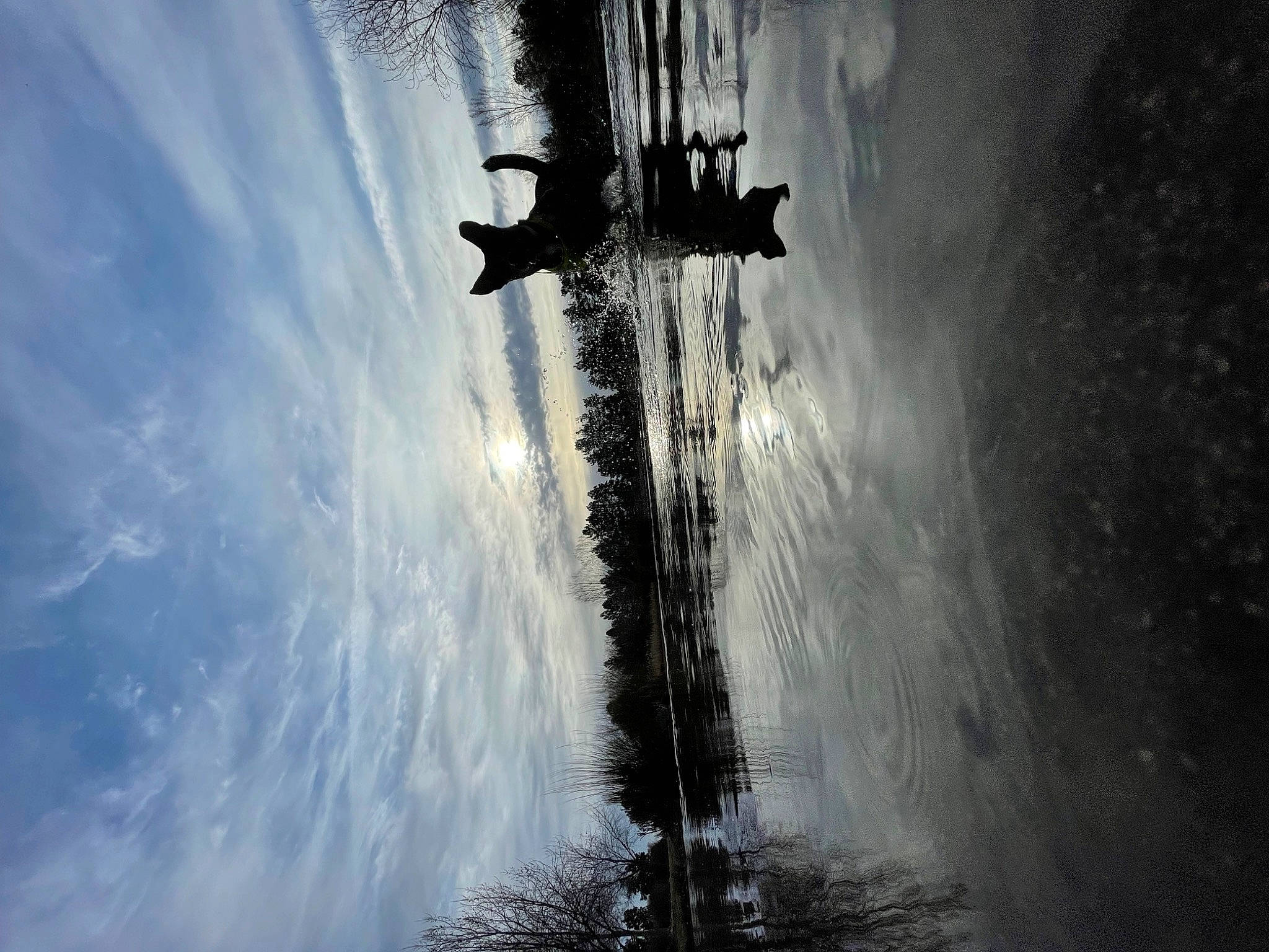 Thumper joined the competition — help win amazing prizes! adventure, art, atmosphere, atmospheric_phenomenon, cloud, darkness, extreme_sport, fountain, plant, recreation, reflection, sky, space, tower, tree, water, water_feature, wave, wind_wave, world