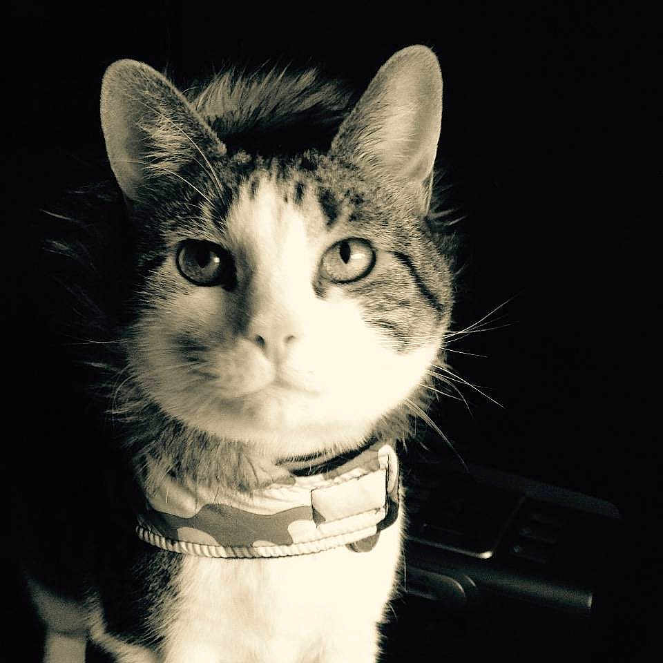 Cleopatra
