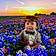 Karter