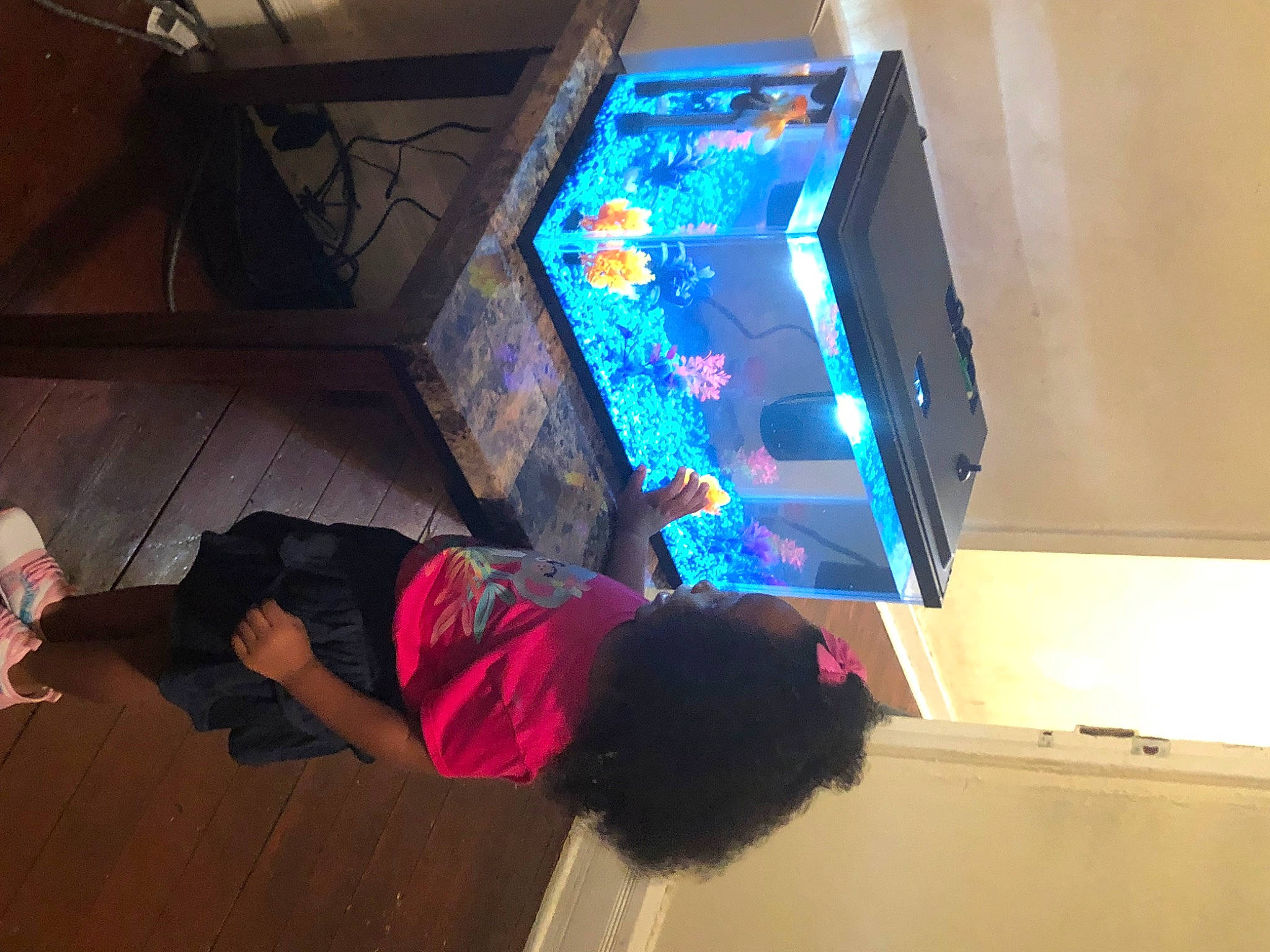 Egypt joined the competition — help win amazing prizes! display_device, electric_blue, entertainment, flooring, fun, gadget, glass, hardwood, house, human_leg, magenta, person, purple, room, space, sportswear, t_shirt, toddler, visual_arts, visual_effect_lighting