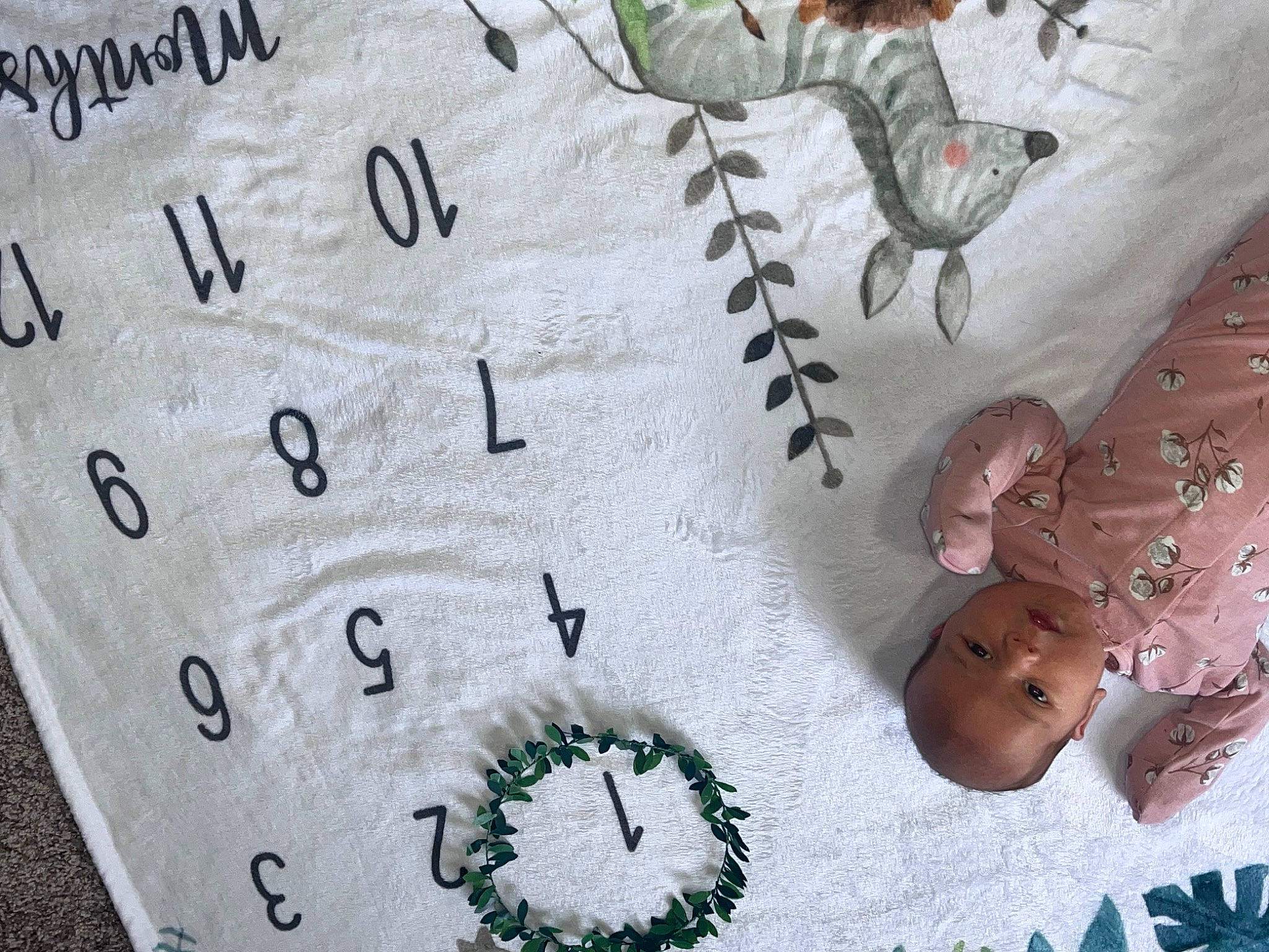 Madelyn is registered to the contest to win money with this photo: art, carmine, circle, clock, fashion_accessory, font, gauge, handwriting, home_accessories, illustration, ink, jewellery, linens, measuring_instrument, number, pattern, person, plant, product, tree