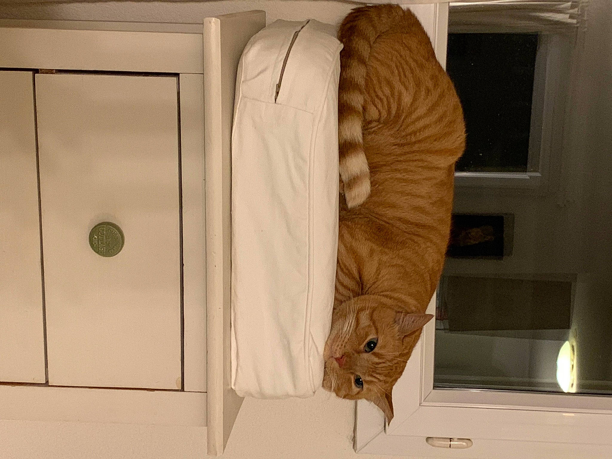 Alfred a rejoint le concours — aidez-le/la à gagner de superbes lots ! art, artifact, cabinetry, carving, chest_of_drawers, cupboard, display_case, door, flooring, fur, hardwood, major_appliance, plywood, room, sculpture, visual_arts, wardrobe, window, wood, wood_stain