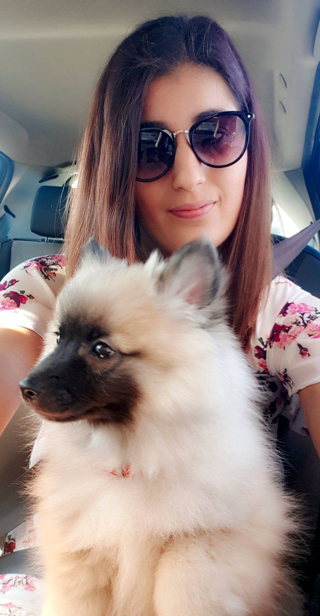 Louki a rejoint le concours — aidez-le/la à gagner de superbes lots ! companion_dog, dog, dog_breed, dog_breed_group, dog_like_mammal, eyewear, fur, german_spitz, german_spitz_klein, german_spitz_mittel, girl, glasses, person, pomeranian, puppy, skin, snout, spitz, sunglasses, vision_care