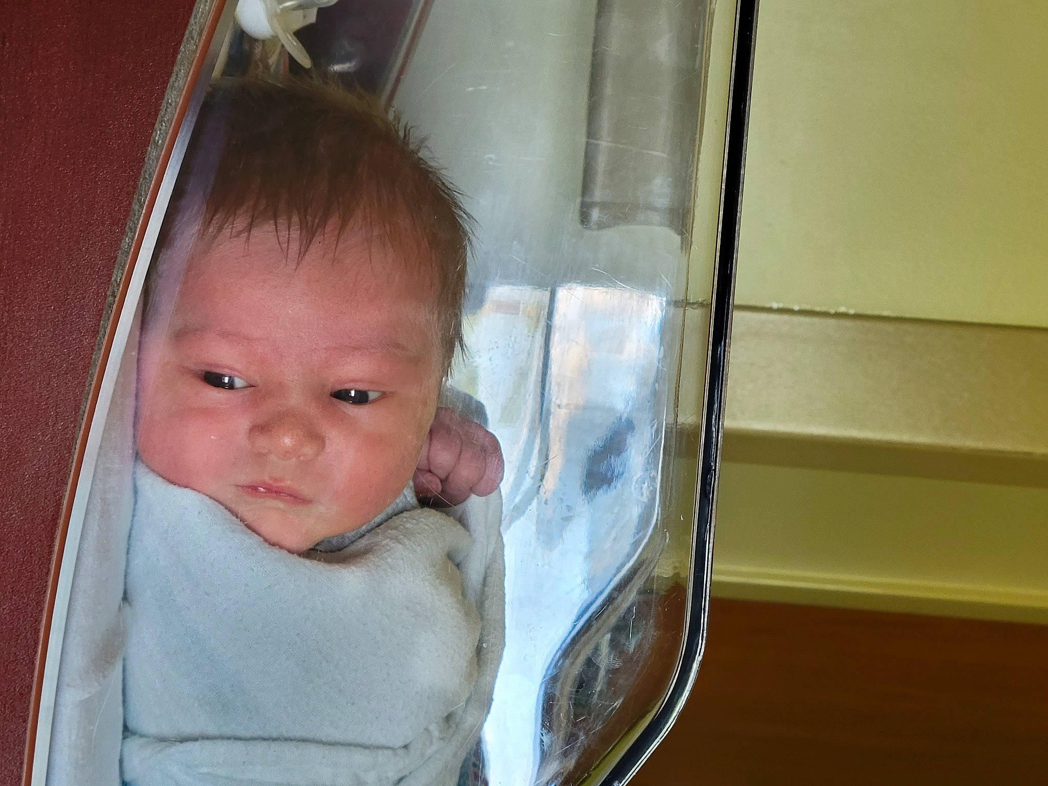 Taylor is registered to the contest to win money with this photo: auto_part, automotive_exterior, baby, baby_toddler_clothing, cheek, child, eyelash, fun, glass, happy, nose, person, rear_view_mirror, room, sitting, toddler, tree, vehicle_door, window, windshield