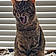 Cleocatra