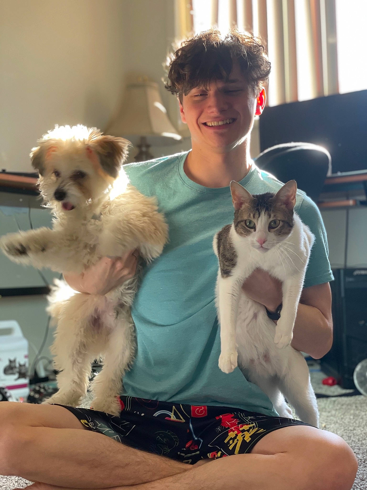 Callisto is registered to the contest to win money with this photo: canidae, carnivore, cat, comfort, companion_dog, dog, eyewear, fawn, felidae, fur, glasses, interaction, lap, small_terrier, small_to_medium_sized_cats, smile, sunglasses, toy_dog, vision_care, whiskers