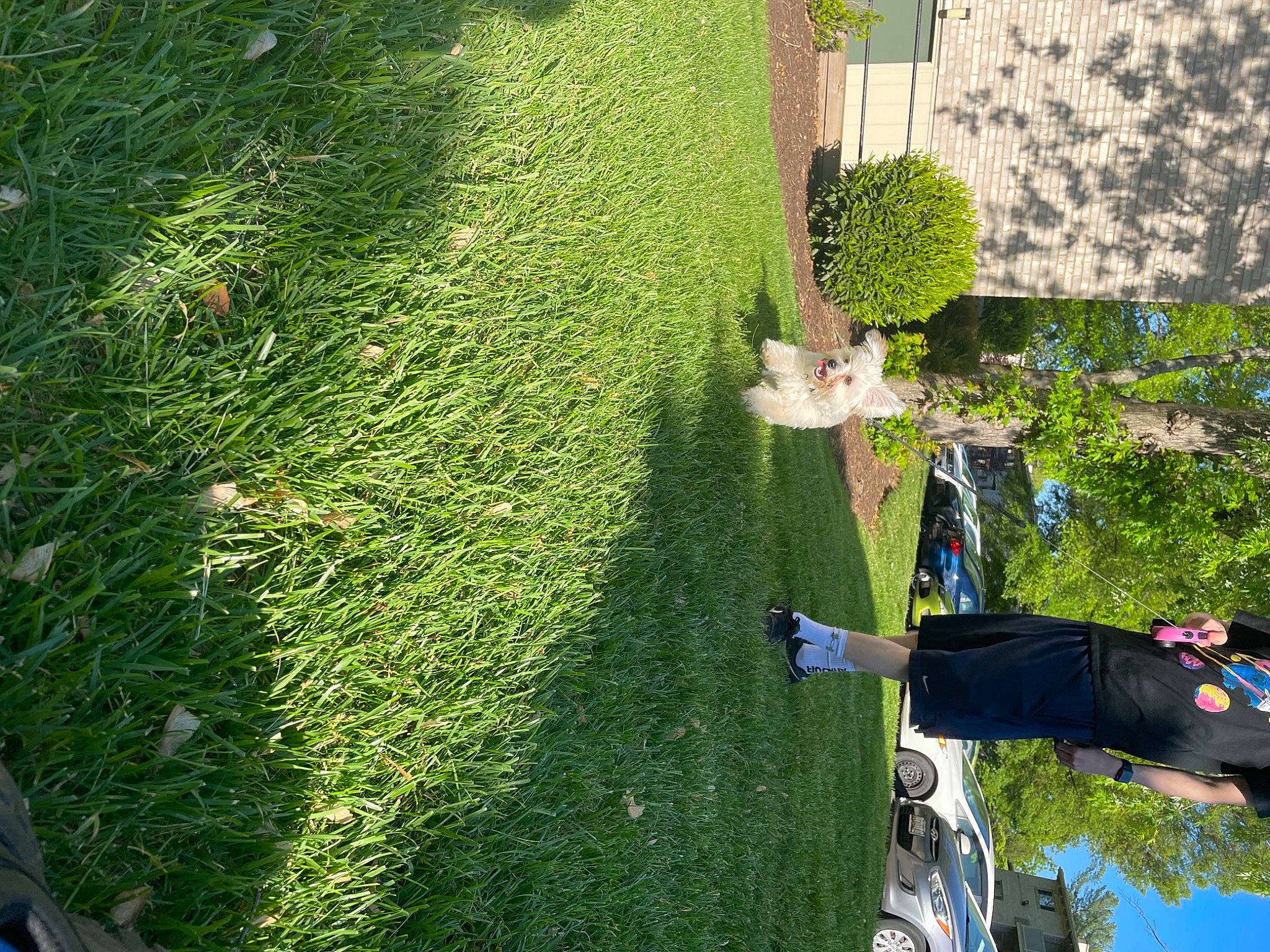 Jupiter is registered to the contest to win money with this photo: biome, building, grass, grass_family, green, groundcover, hedge, house, landscape, lawn, leaf, leisure, people_in_nature, plant, shrub, tints_and_shades, tree, urban_design, vegetation, woody_plant