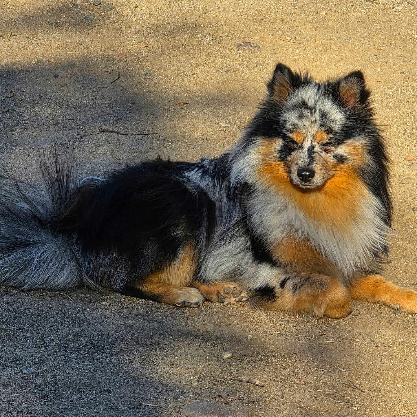 Kaleo