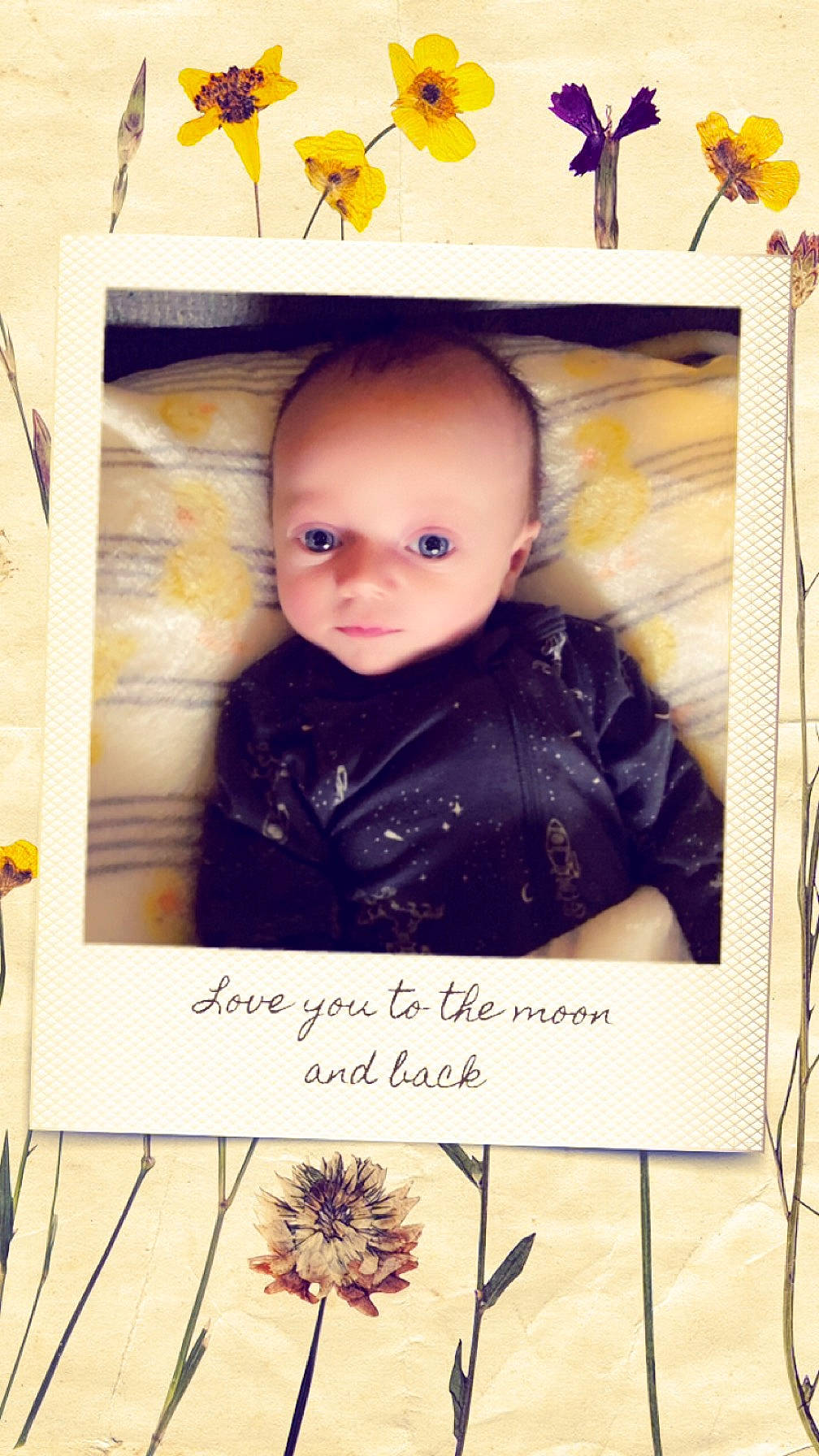 Roman joined the competition — help win amazing prizes! art, arthropod, baby, baby_toddler_clothing, child, design, font, happy, leaf, pattern, person, photography, portrait_photography, product, rectangle, room, sleeve, toddler, twig, white