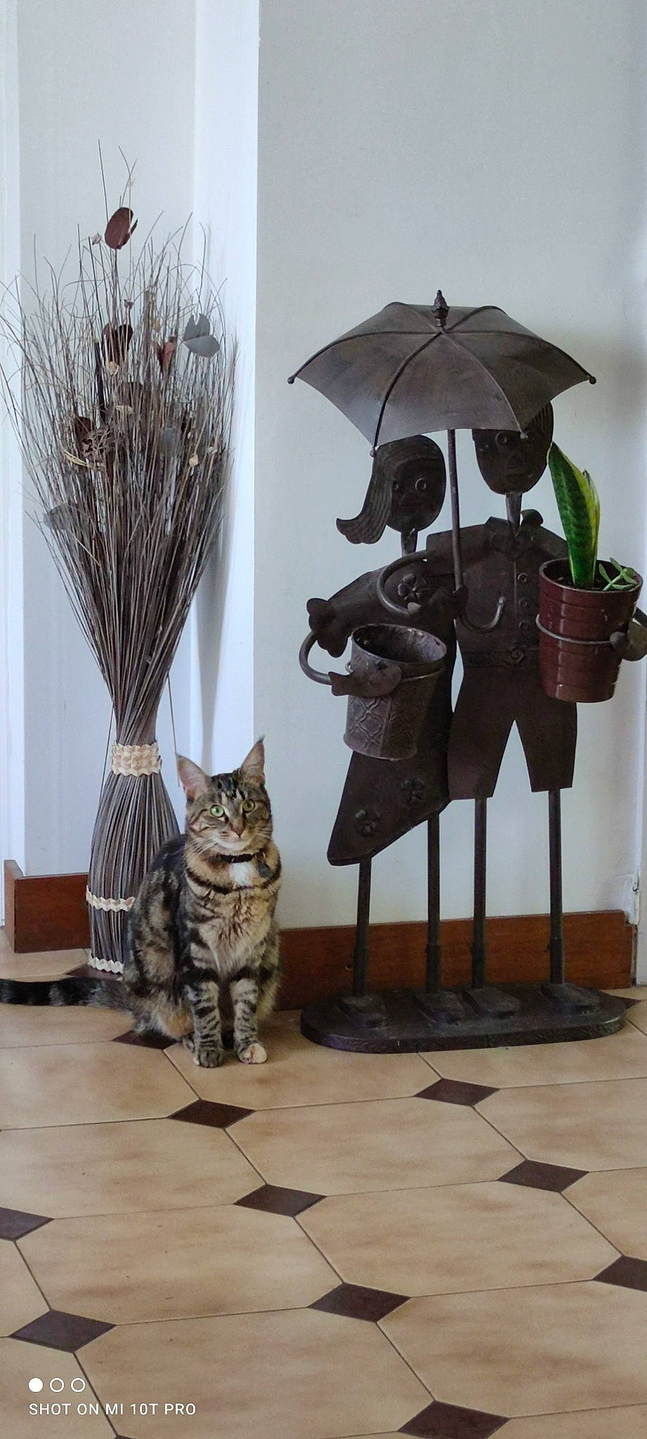 Candy participe au concours pour gagner de l'argent avec cette photo : art, carnivore, cat, felidae, floor, flooring, grey, house, interior_design, lamp, plant, sculpture, shade, small_to_medium_sized_cats, tail, tree, twig, umbrella, whiskers, wood