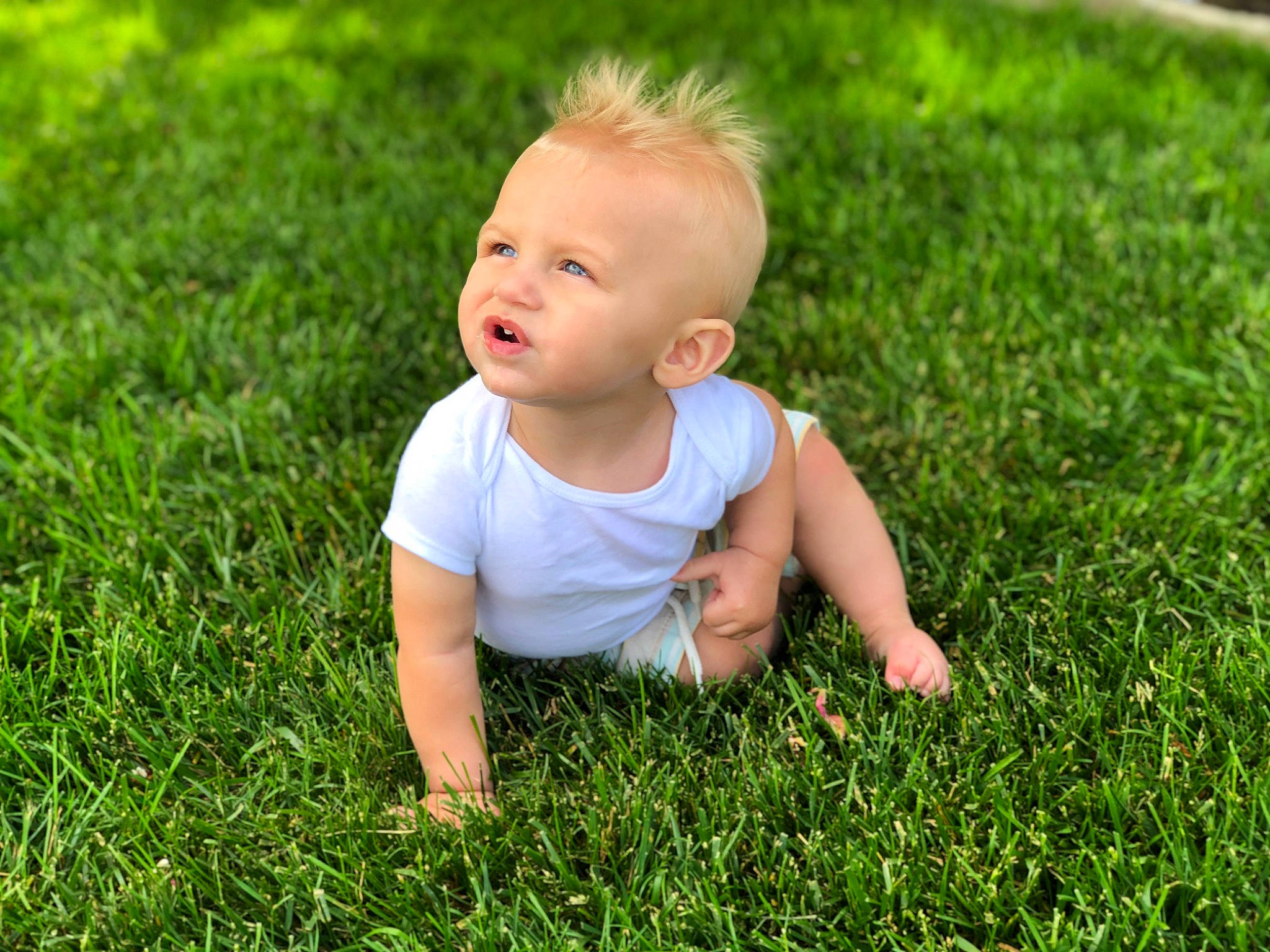 Landon joined the competition — help win amazing prizes! baby, baby_toddler_clothing, dress, flash_photography, flooring, fun, grass, grassland, green, groundcover, happy, leaf, leg, mammal, people_in_nature, person, plant, smile, toddler, tree