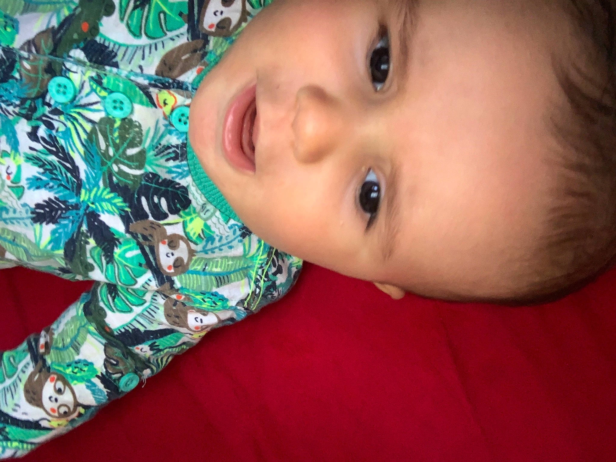 Rèis participe au concours pour gagner de l'argent avec cette photo : cheek, dress, eye, eyebrow, eyelash, forehead, happy, human_body, iris, lip, mouth, neck, nose, person, plant, skin, sleeve, smile, toddler, tree