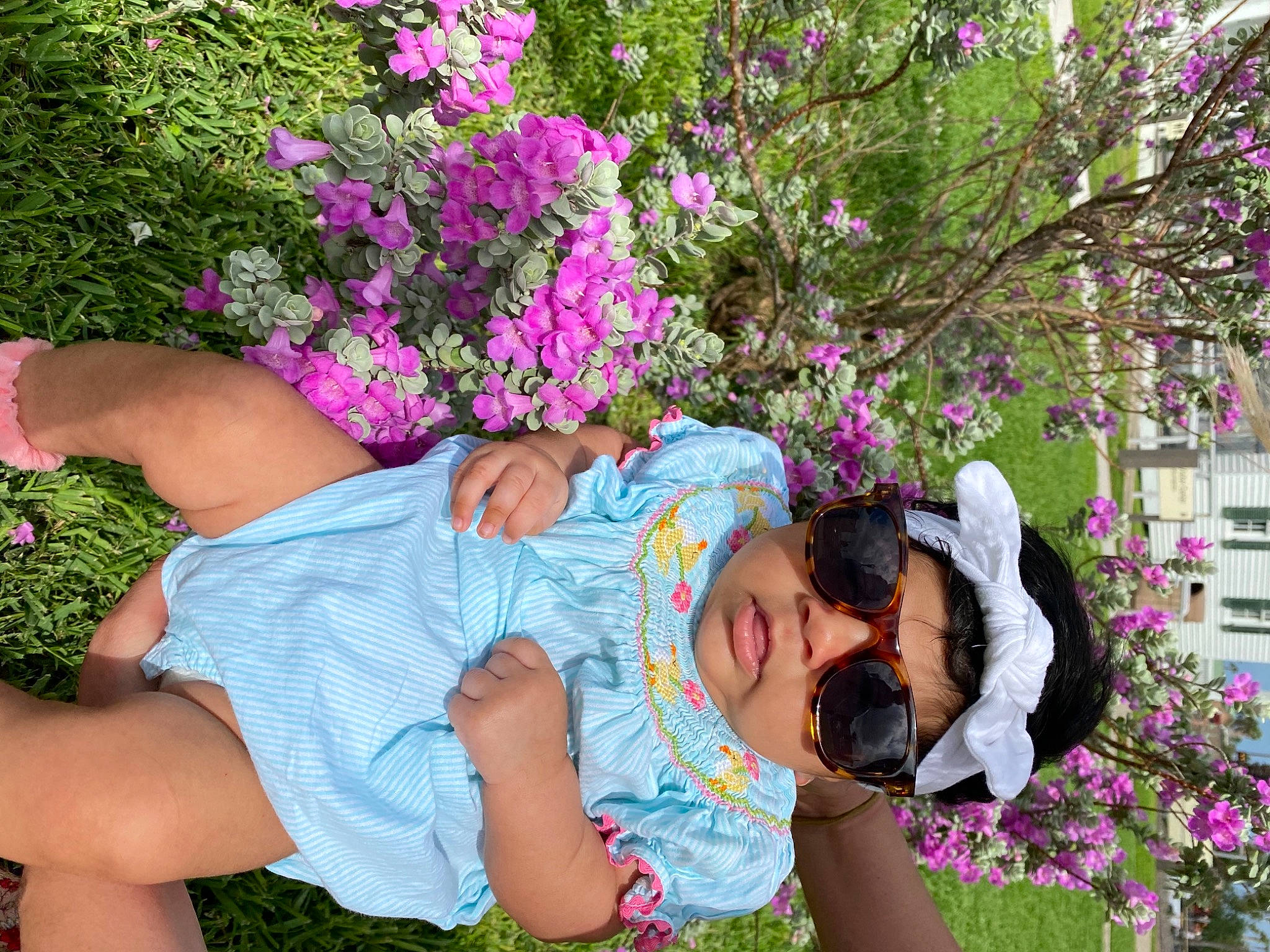 Aribella joined the competition — help win amazing prizes! annual_plant, beauty, botany, flower, grass, groundcover, happy, hat, human_leg, leisure, magenta, nature, people_in_nature, person, petal, pink, plant, shorts, shrub, summer