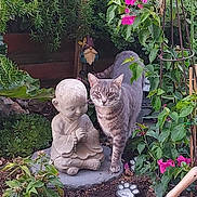 Roxie participe au concours pour gagner de l'argent avec cette photo : animal, cat, curious_cat, decor, flowers, foliage, garden, garden_tools, greenery, meditation, nature, outdoor, peaceful, pink_flowers, plants, sculpture, serene, soil, statue, tabby_cat