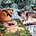 Truffe Et Snoopy