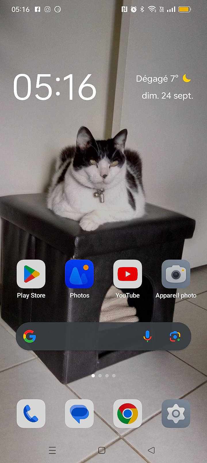 Pedro participe au concours pour gagner de l'argent avec cette photo : advertising, box, carnivore, cat, cat_supply, communication_device, electronic_device, felidae, font, gadget, multimedia, output_device, packaging_and_labeling, photo_caption, product, screenshot, small_to_medium_sized_cats, technology, television, whiskers