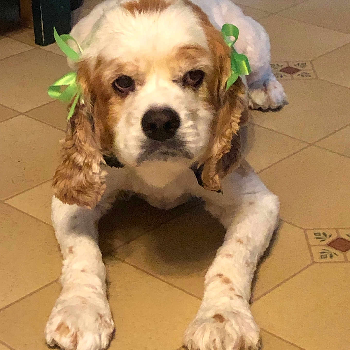 Penny