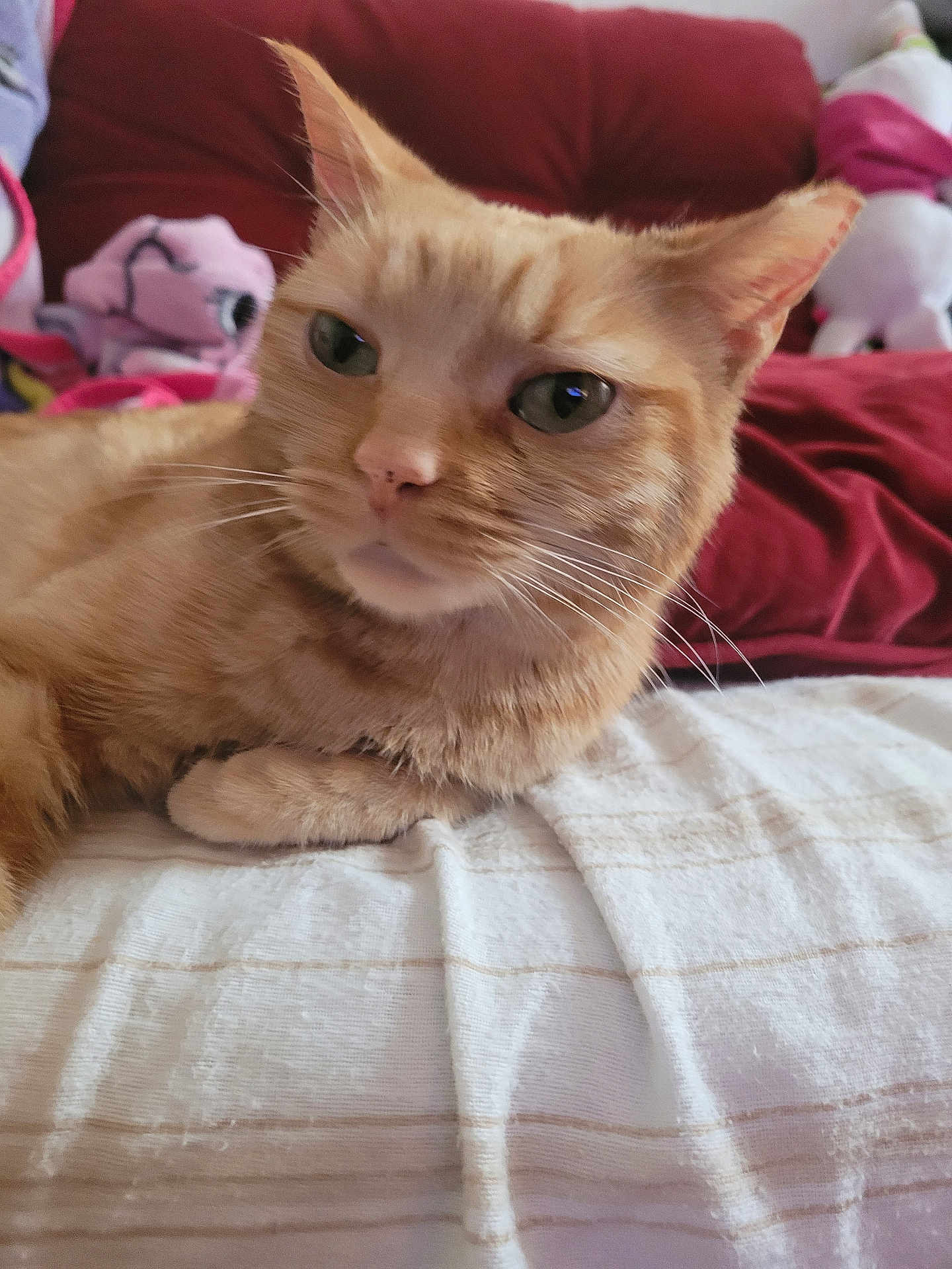 Pretty Girl