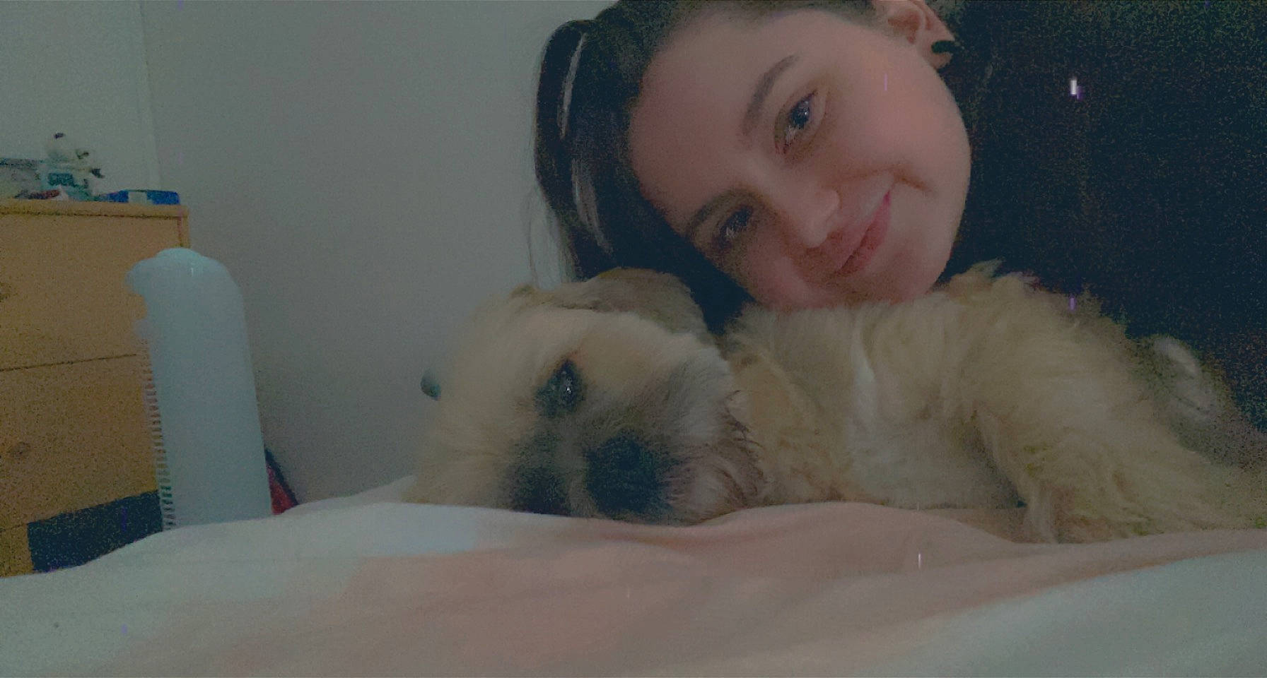 Forest participe au concours pour gagner de l'argent avec cette photo : abdomen, bed, bedding, canidae, comfort, companion_dog, dog_breed, fawn, felidae, fur, happy, linens, nose, room, skin, smile, snout, teddy_bear, toy, whiskers