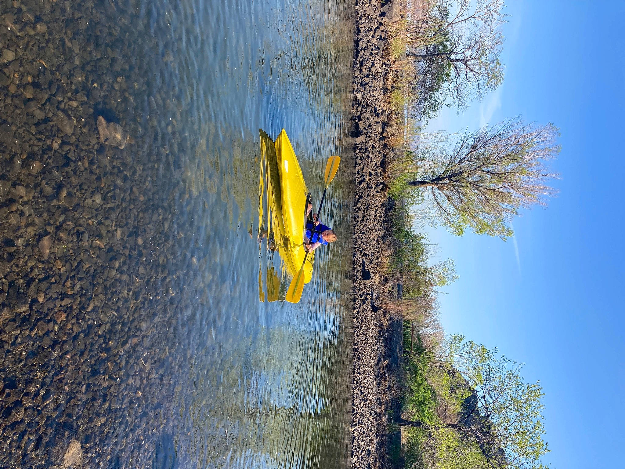 Callie is registered to the contest to win money with this photo: azure, biome, boat, boats_and_boating_equipment_and_supplies, grass, lake, landscape, plant, sky, slope, sunlight, tree, trunk, twig, vegetation, water, watercourse, watercraft, wind, wood