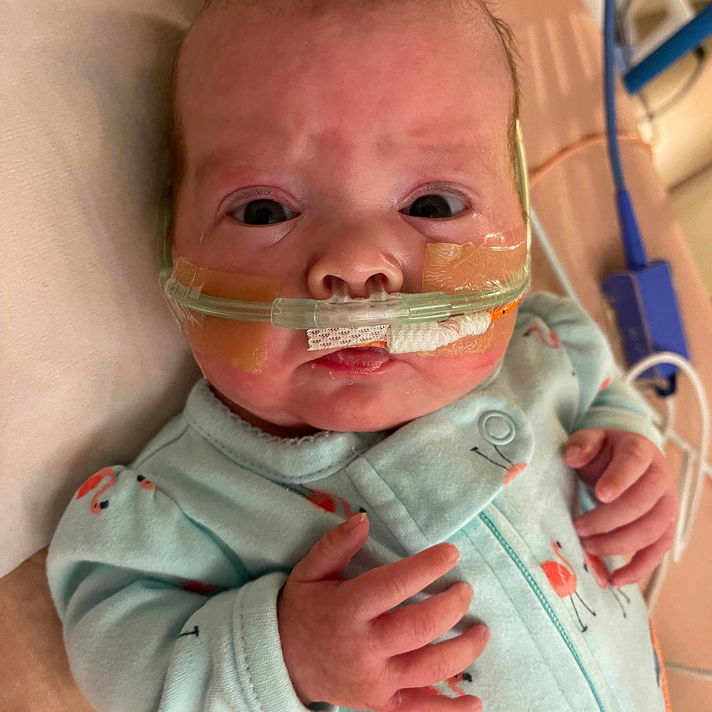 Claire is registered to the contest to win money with this photo: architecture, baby, bodypart, building, clothing, coat, face, finger, furniture, glove, hand, head, hospital, jacket, knitwear, newborn, person, photography, portrait, sweater